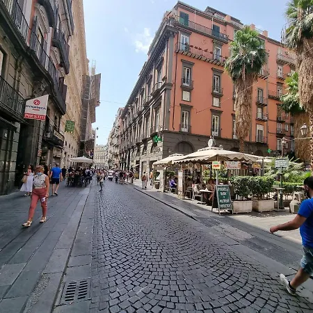 Barbaja In Street Toledo 205 *