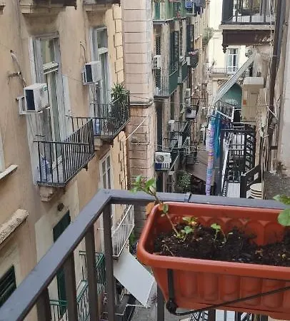Blu Gardenia * Napoli