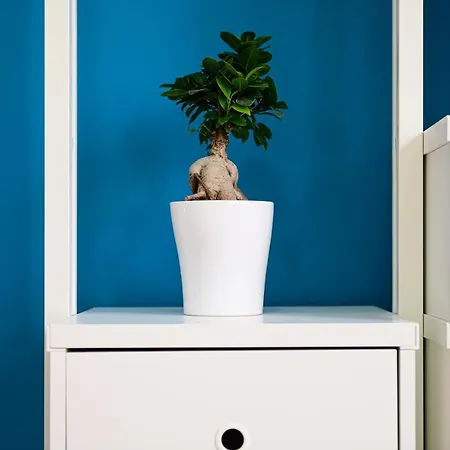Apartmán L'aurora