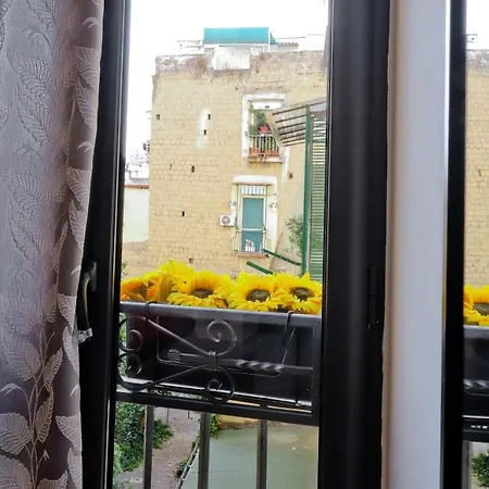 Bed & Breakfast Terra Mia Savoia