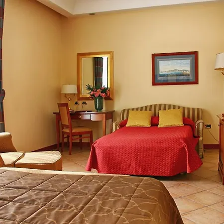 Le Cheminee Business Hotel 4*