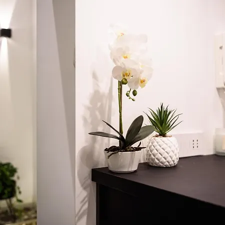 Interno Barocco Nápoly
