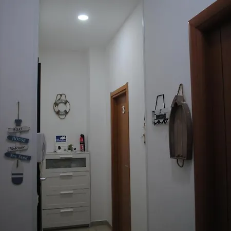 Molo 5