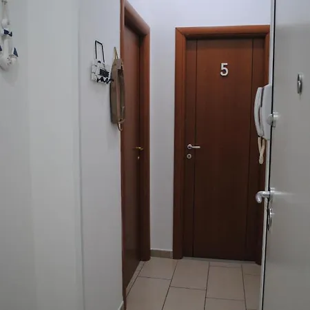 Molo 5