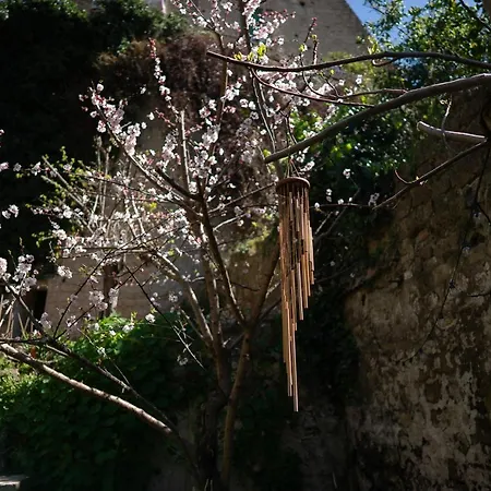 Casa Vayu - & Garden