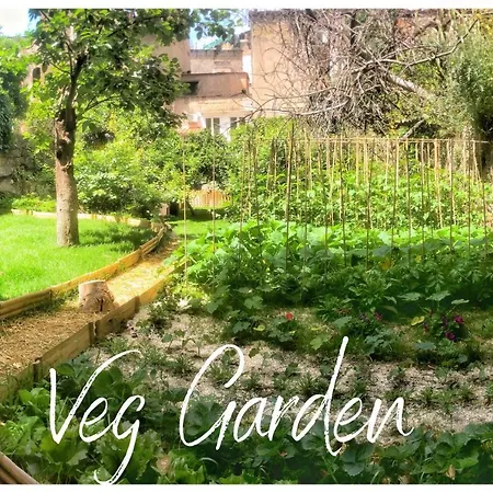 Casa Vayu - & Garden