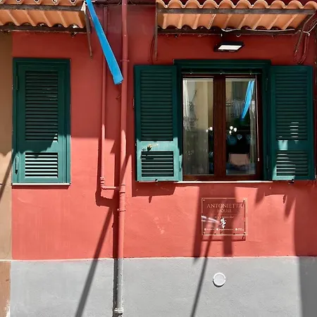Antonietta House