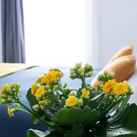 Guest house Oltre *