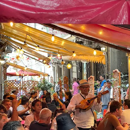 Vibes Πανσιόν 4*
