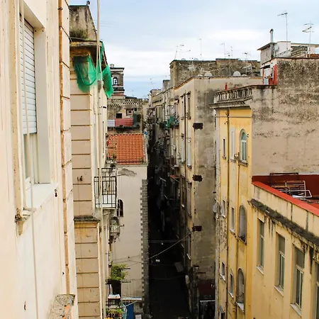 Blackwoody Contemporary - Centro Storico Guest house Naples