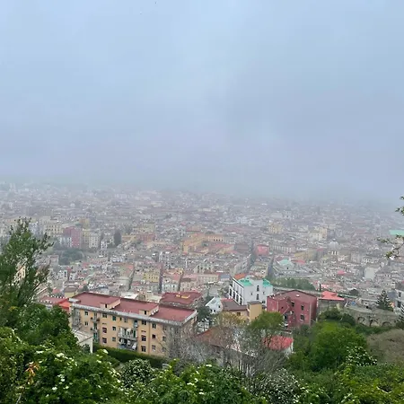 Vanvitelli Domus Napoli