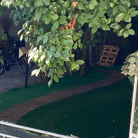 Affittacamere Dana House Napoli