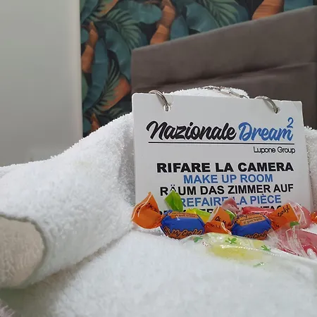 Gasthuis Nazionale Dream 2