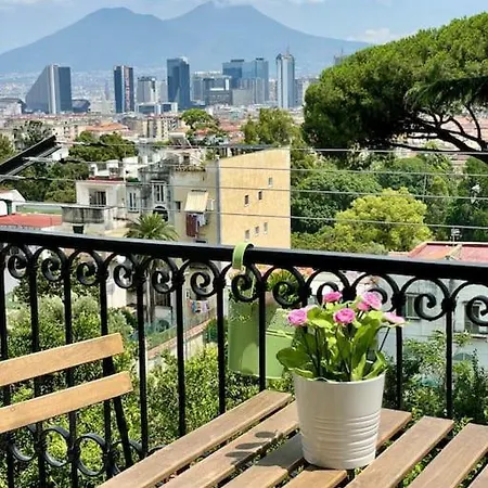 Luxury Panoramic *