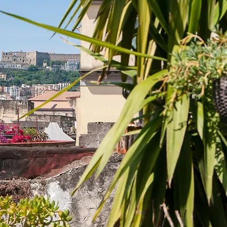 La Terrazza Ai Miracoli Bed & Breakfast *