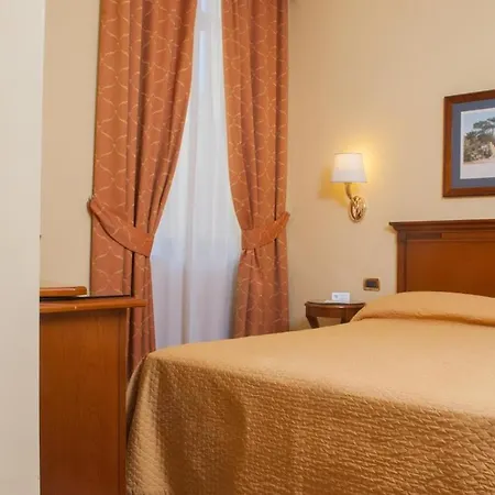 Hotel Le Cheminee Business