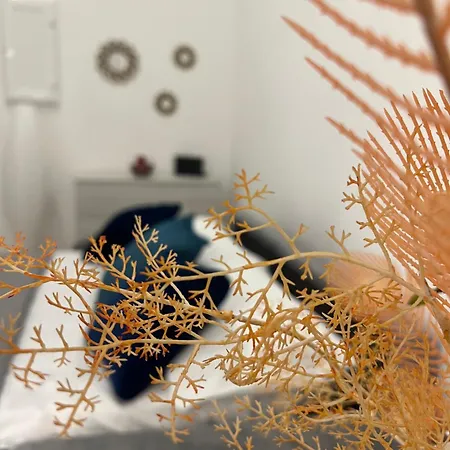 Apartment Che Casa *