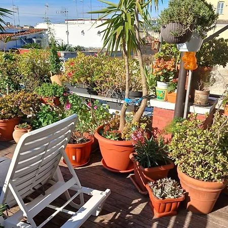 La Terrazza Ai Miracoli Bed & Breakfast *
