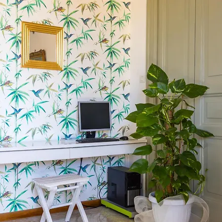 Apartment New Design In