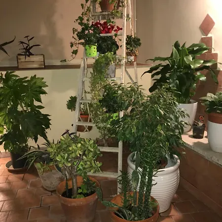 Apartment Ilbricco Naples