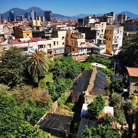 A Cozy Nest With A Vesuvio View Appartamento