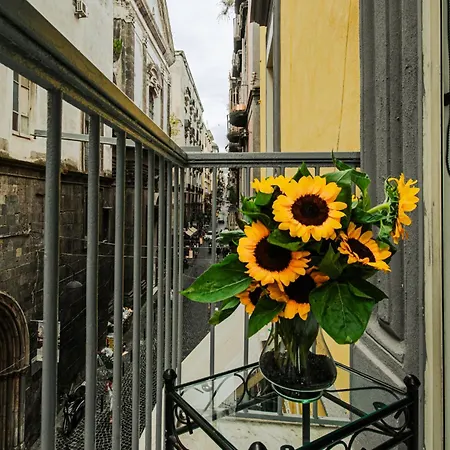 Centro, Dm Guest house Naples
