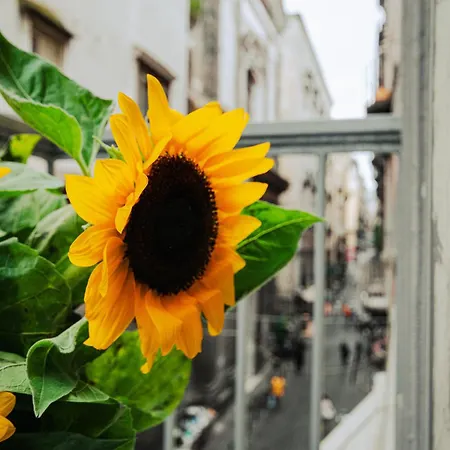 Guest house Centro, Dm Naples