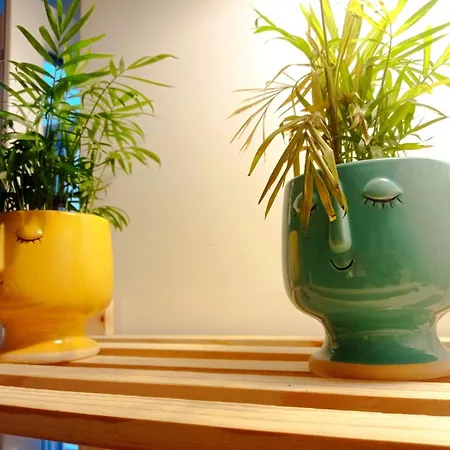 La Casa Di Zaga Apartment
