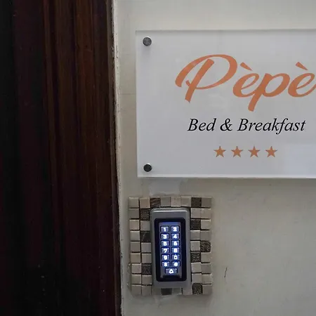 Casa de hóspedes Pepe Nápoles