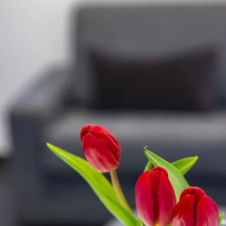 Le Porte Di Partenope Bed & Breakfast Naples