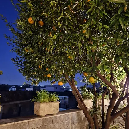 Apartment Fuga A