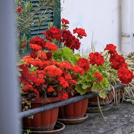 Incoming Roof Bovio * Naples