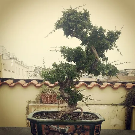 Attico Partenopeo B&B 4*