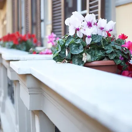 Duomo Bed & Breakfast 3*