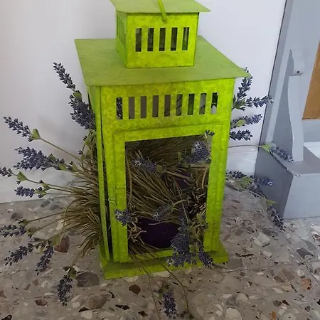 Oda ve Kahvaltı Carafe'&caraspe'