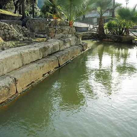 Delle Terme Di Agnano Naples