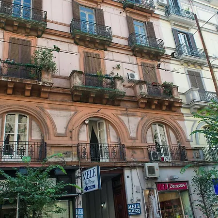 Guest house Napoli's Gold 3*
