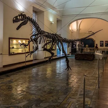 Art Nel Cuore Di Konukevi Napoli