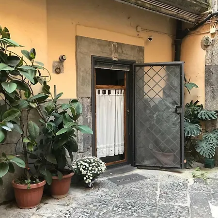 Apartment The *