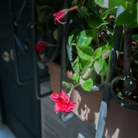Vecchia 20 Holiday home Naples