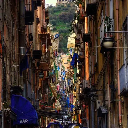 Antos 013 * Naples