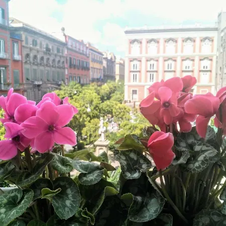 Neapolis Bellini Bed & Breakfast 2*