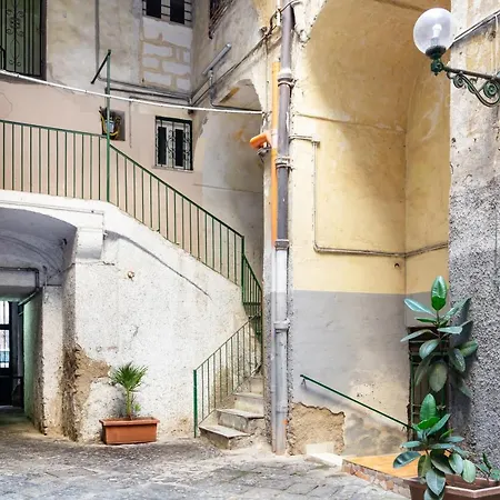 Oui Tree * Naples