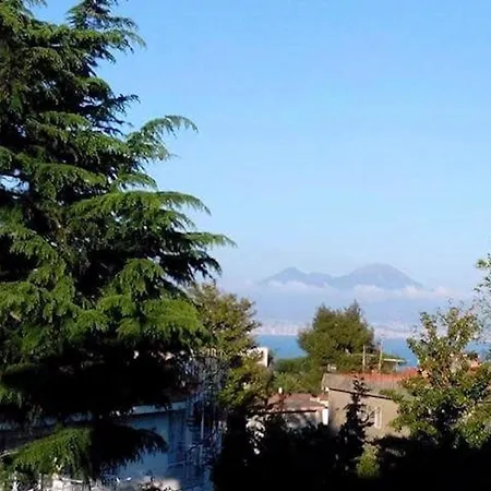 Le Rondini * Napoli