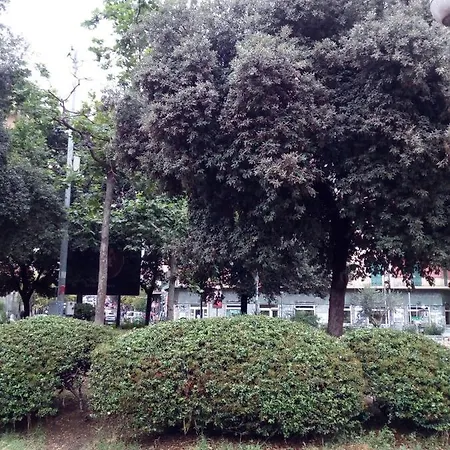 Cicicoco * Neapol