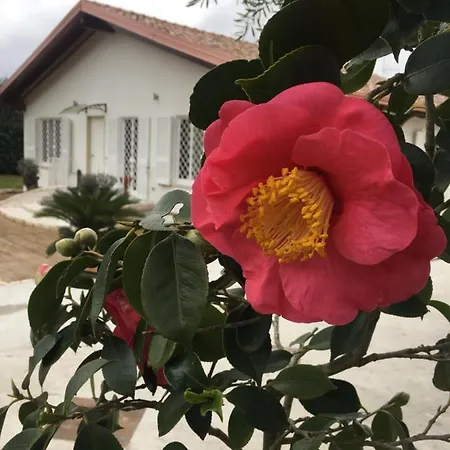 Tenuta Michele Naples