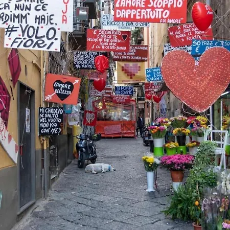Mario Spaccanapoli * Napoli