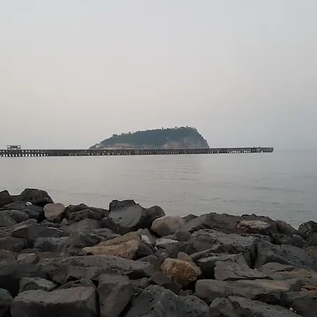 Taromy * Neapol