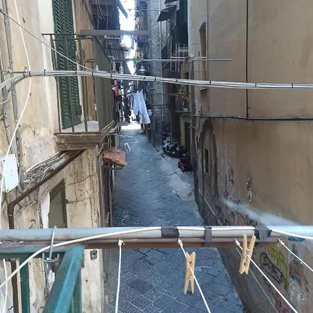 Stanza Di Ellena Pensión *
