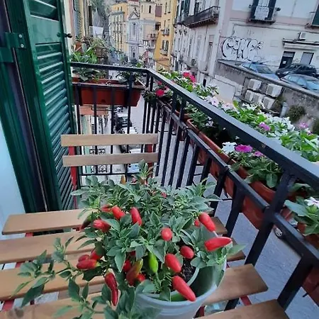 Palazzetto Di Neubourg * Neapel